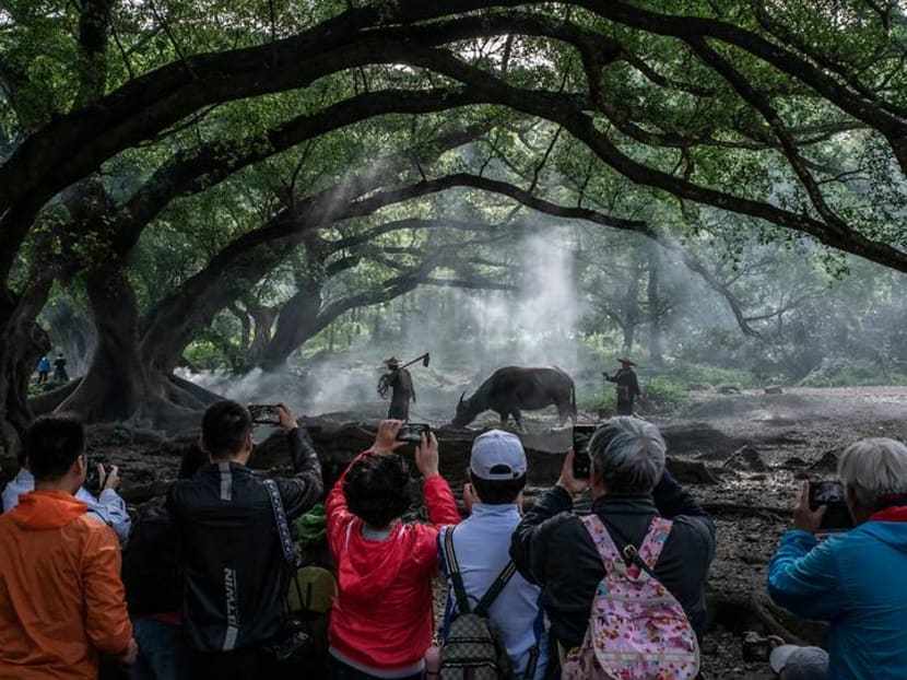 This Instagram hotspot in China has 'models' dressed as farmers with buffaloes This Instagram hotspot in China has 'models' dressed as farmers with buffaloes