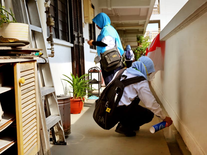 NEA officers spray insecticide in drains and conduct house checks for mosquitoes. Measures are taken to control the Aedes mosquito population in Singapore. TODAY file photo
