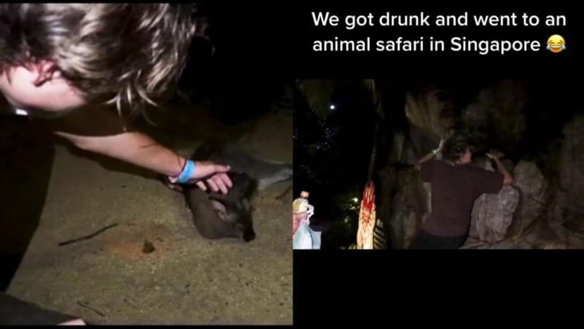 Police report made after youths seen trespassing into Night Safari after operating hours Police report made after youths seen trespassing into Night Safari after operating hours