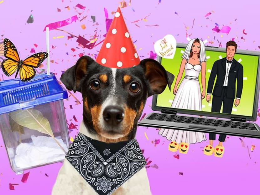 Circuit breaker celebrations: How Singaporeans are doing birthdays and weddings differently Circuit breaker celebrations: How Singaporeans are doing birthdays and weddings differently
