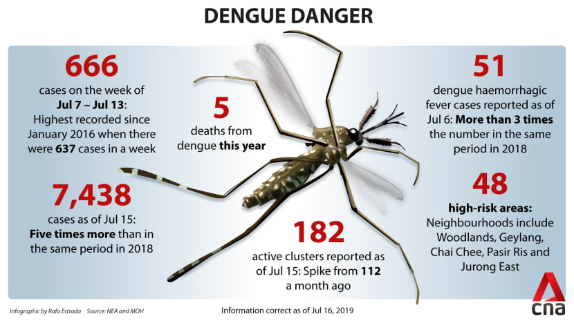 Commentary: The lower immunity behind the current dengue outbreak - CNA