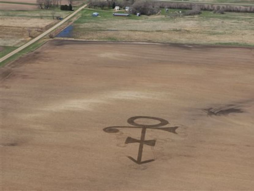 A corn field in Edgeley, North Dakota., shows the symbol of the late megastar Prince. Retired farmer Gene Hanson, who always liked the song “Purple Rain,” plowed the football-size symbol. Photo: AP