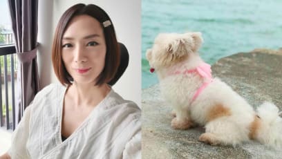Jacelyn Tay Grieves Over Death Of Dog She Adopted From The Streets More Than 10 Years Ago