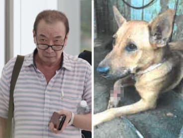 Khor Lian Huat, 61, at the State Courts on May 17, 2024 along with a photograph of the wounded dog.