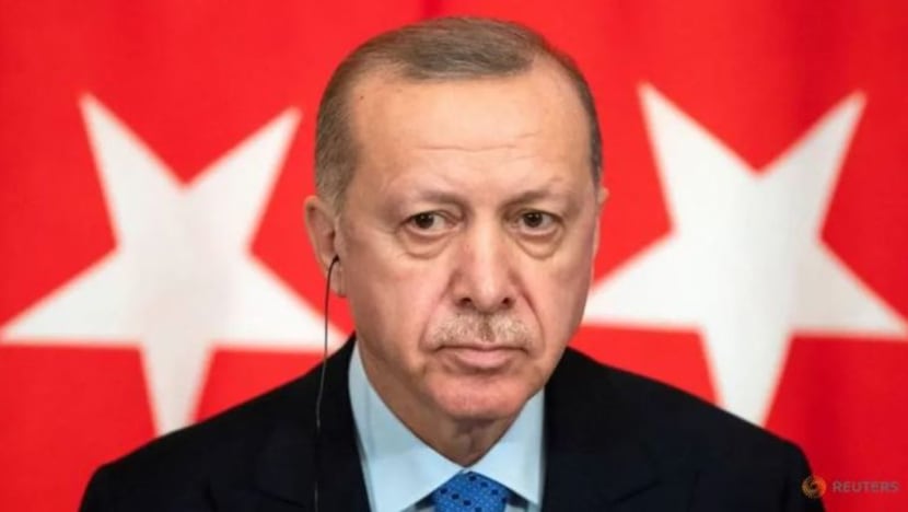 Erdogan kutuk peraturan mahkamah EU larang tudung di tempat kerja 'dalam sesetengah kes'