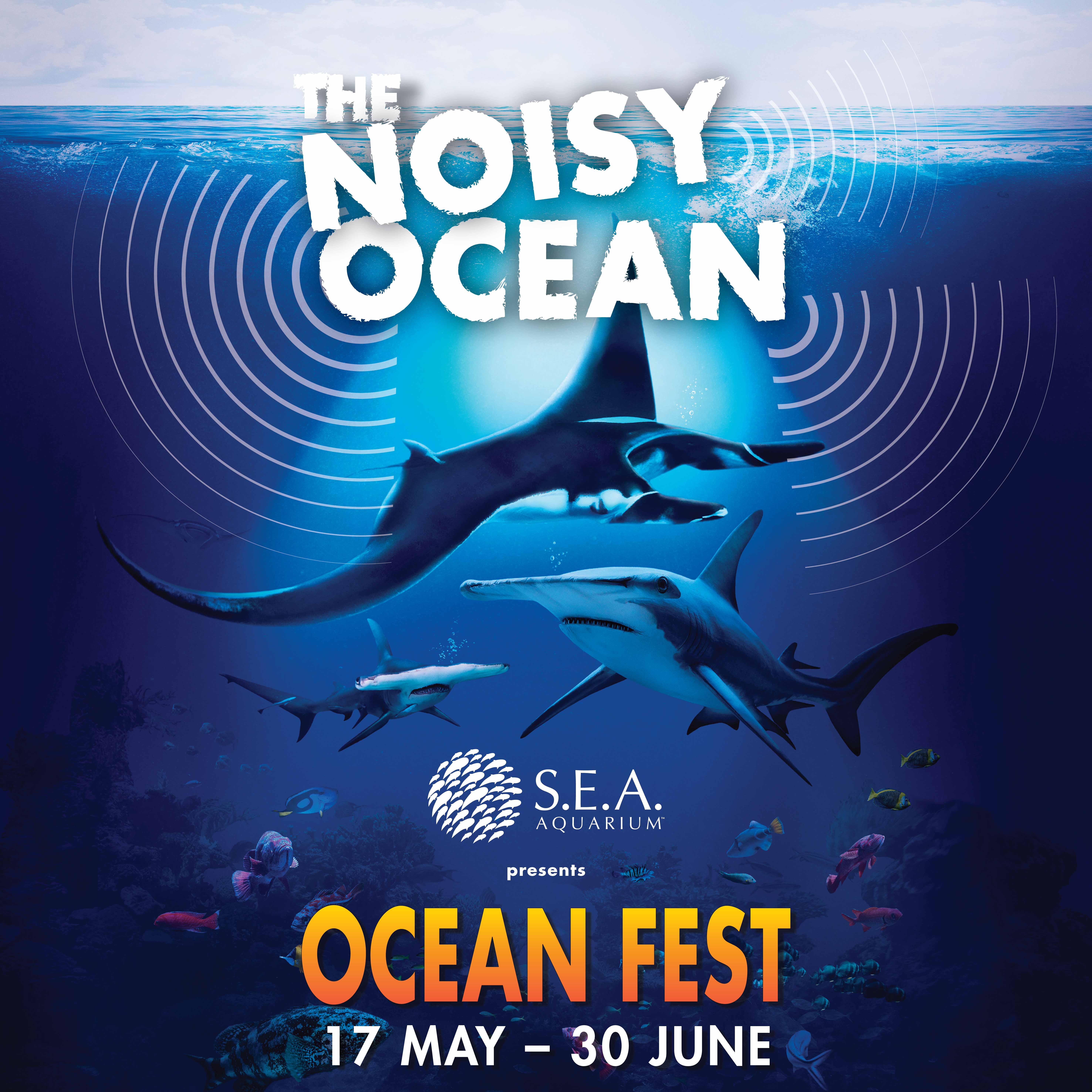 Ocean Fest latest news & coverage 8days