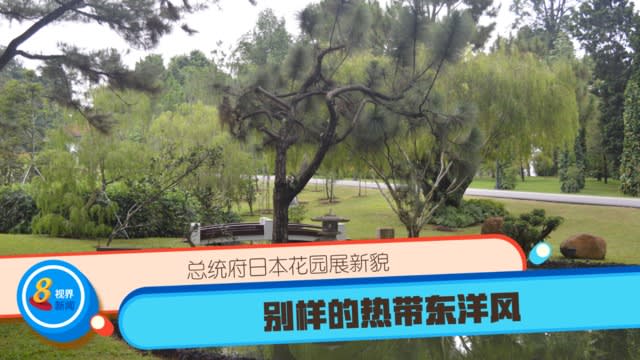 总统府日本花园展新貌 别样的热带东洋风