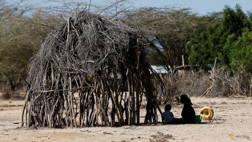 Northern Kenya faces hunger crisis as drought wipes out livestock