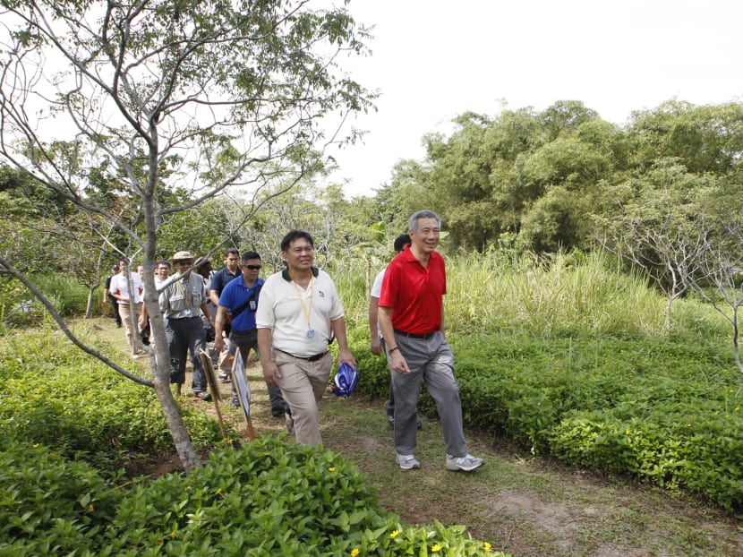 Govt unveils plans to better protect Pulau Ubin
