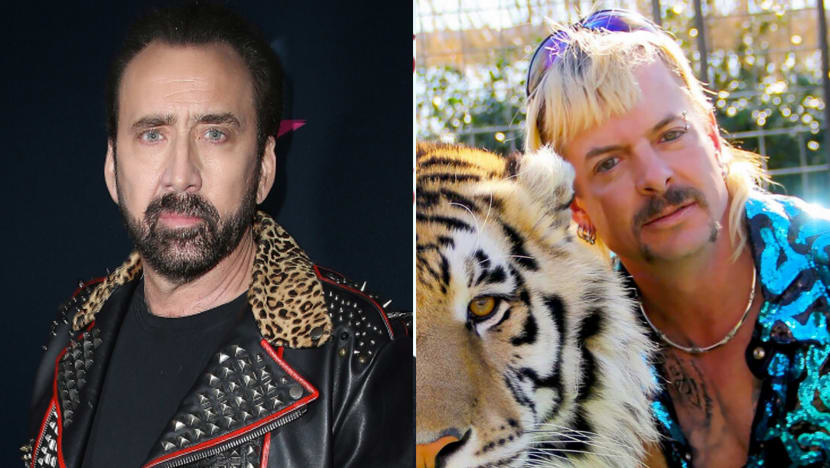 Nicolas Cage Will Tap Into His Inner Beast To Play Joe Exotic In TV Series Nicolas Cage Will Tap Into His Inner Beast To Play Joe Exotic In TV Series