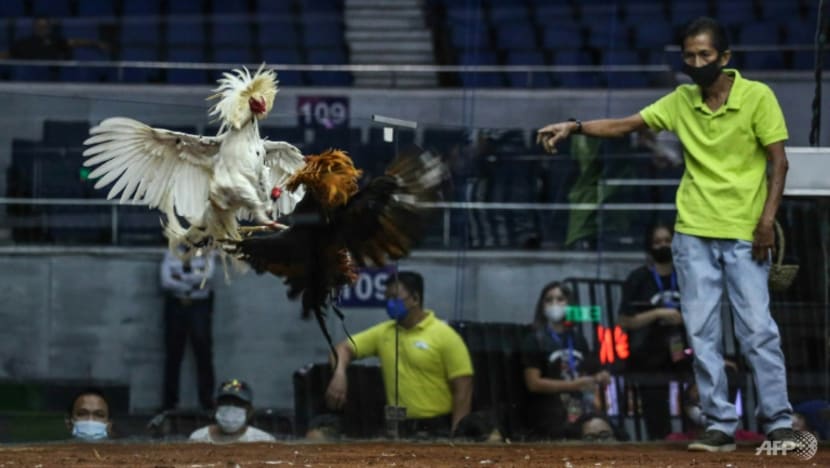 Philippines' Duterte vows to ban online cockfighting Philippines' Duterte vows to ban online cockfighting