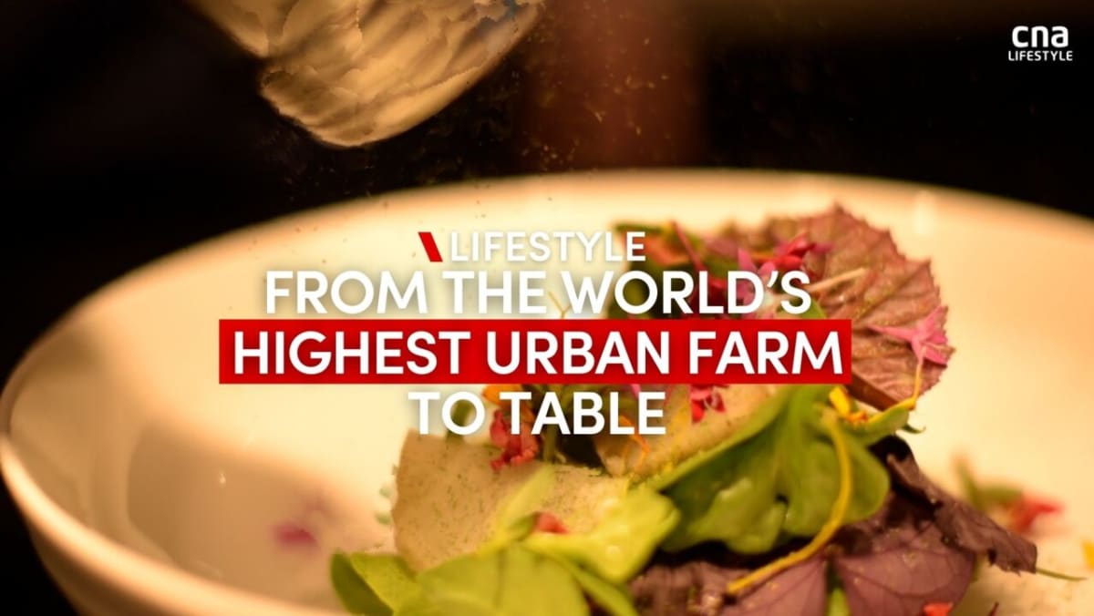 world-s-highest-urban-farm-at-the-rooftop-of-a-singapore-building-or-cna-lifestyle
