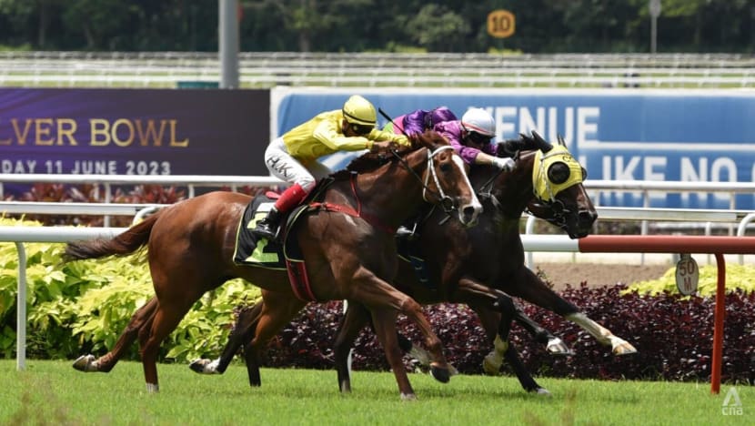 Some horse owners at Singapore Turf Club eye exit as early as August; closure may also affect Malaysia’s racing scene