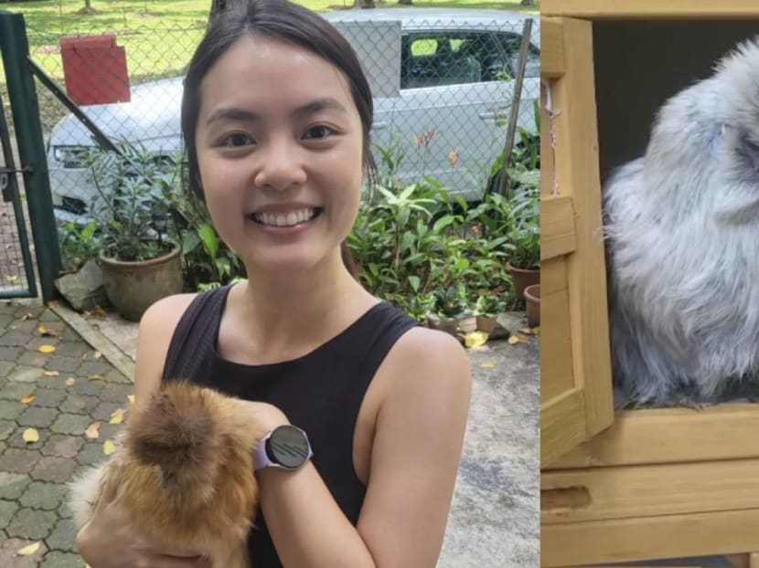 Chantalle Ng now has pet chickens, jokes that mum Lin Meijiao won't let her name them 'Bai Zhan Ji' and 'Shao Ji'