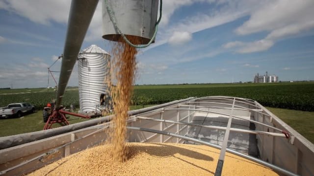 美农业部公布 中国订购八个多月来最大批大豆