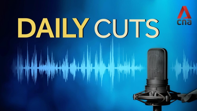 Daily Cuts - S1E179: Rising flu numbers in Singapore