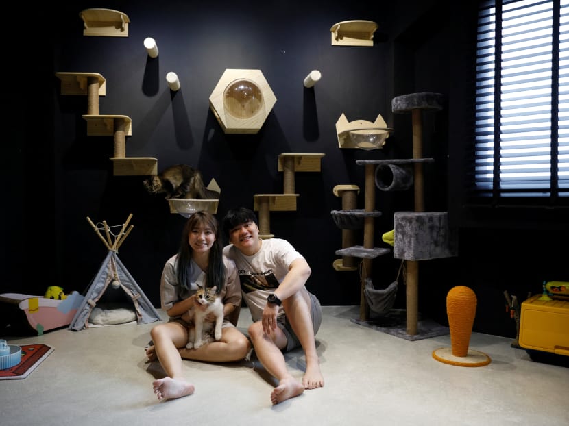 From sake bars to yacht cabins, Singaporeans remodel no-frills public flats From sake bars to yacht cabins, Singaporeans remodel no-frills public flats