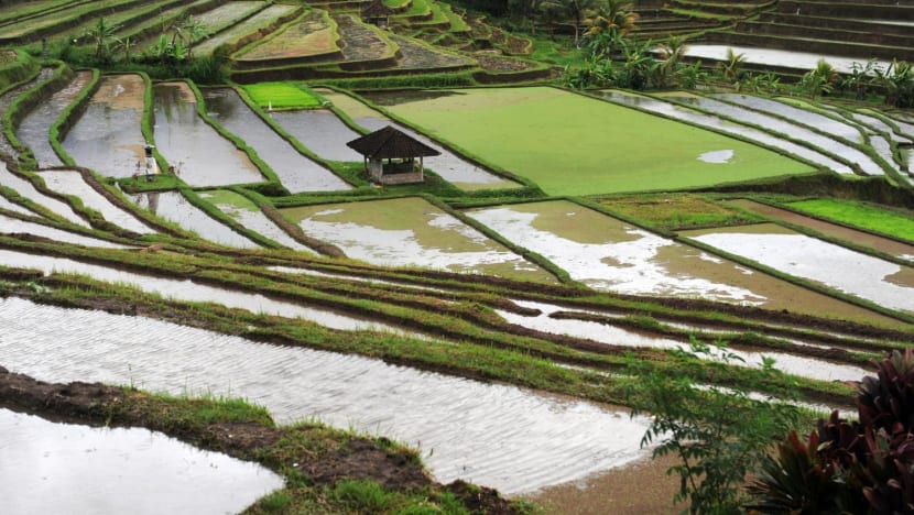 20240314 afp bali landslide