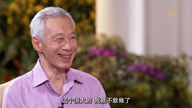 【精华版】主政20年：李显龙总理访问