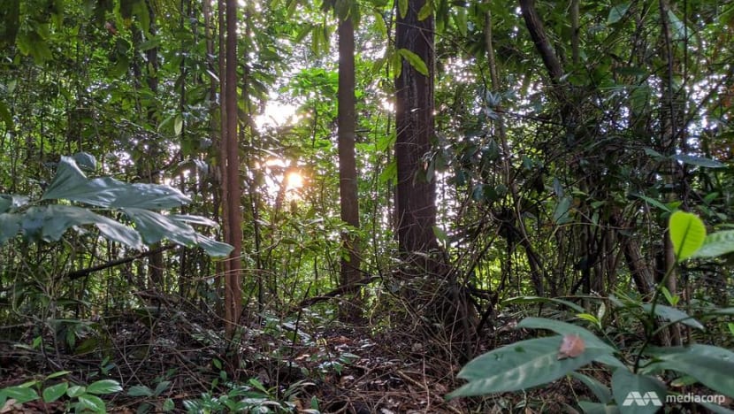 Raising carbon tax, improving public sector’s sustainability standards among MPs’ proposals to tackle climate change Raising carbon tax, improving public sector’s sustainability standards among MPs’ proposals to tackle climate change