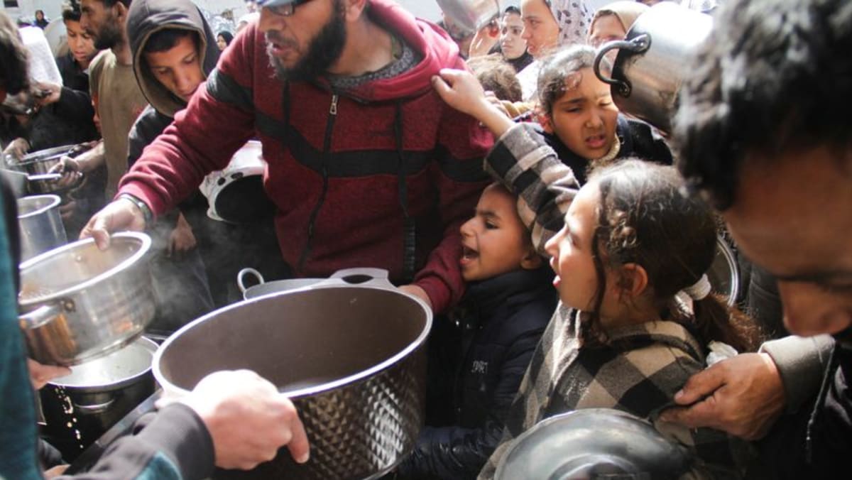 WHO says only more land crossings into Gaza can prevent famine