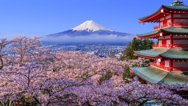 日本樱花季提早很多天　选对赏樱日期看这里！