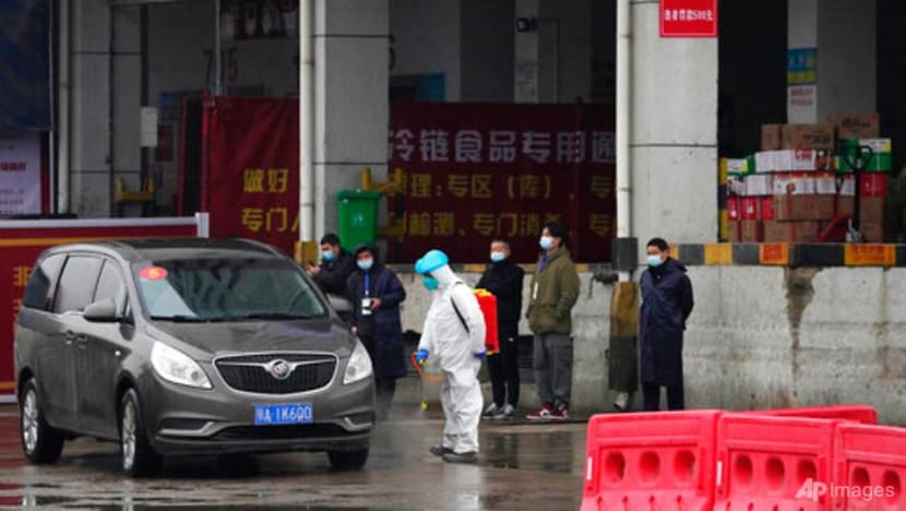 WHO probe team visits Wuhan market at heart of first COVID-19 outbreak