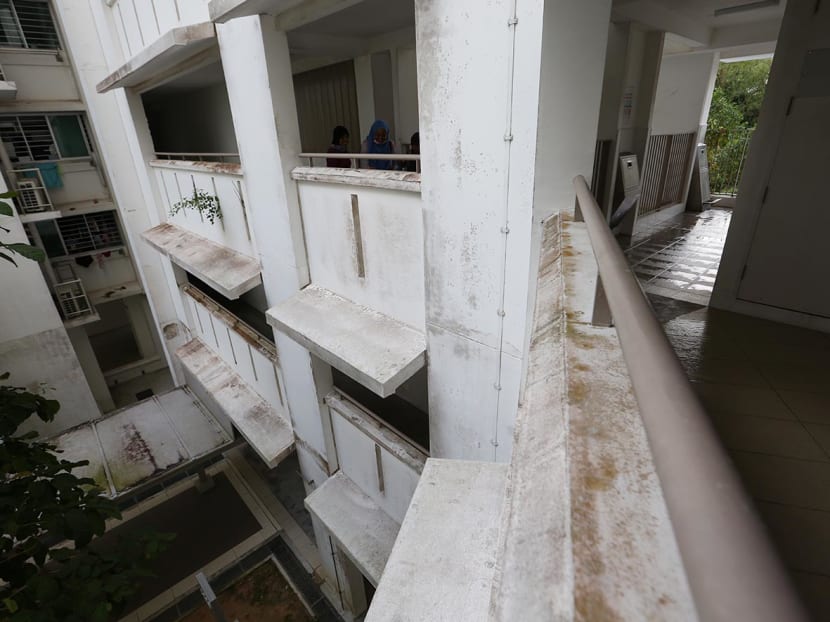 20230106_raj_anchorvale_mould1.jpg?itok=