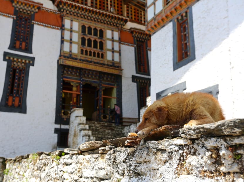 Bhutan in high spirits