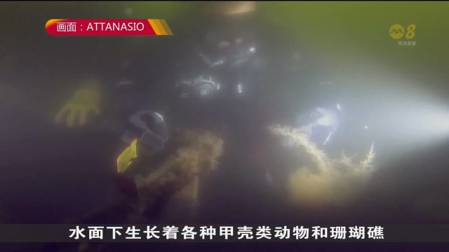 纽约潜水员自发清理受欢迎水域塑料垃圾