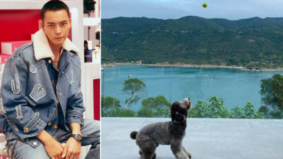 William Chan’s Hongkong Home Is So Big, He Plays Fetch On The Balcony With His Dog