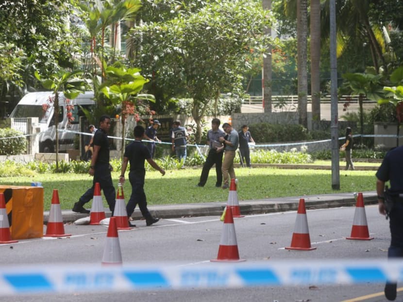Shangri-La shooting: Trio had agreed to evade police checks