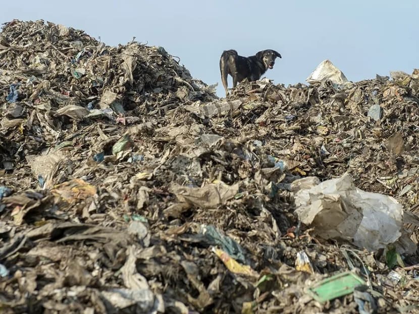 Piles of plastic are seen at an illegal recycling site in Malaysia in 2019.