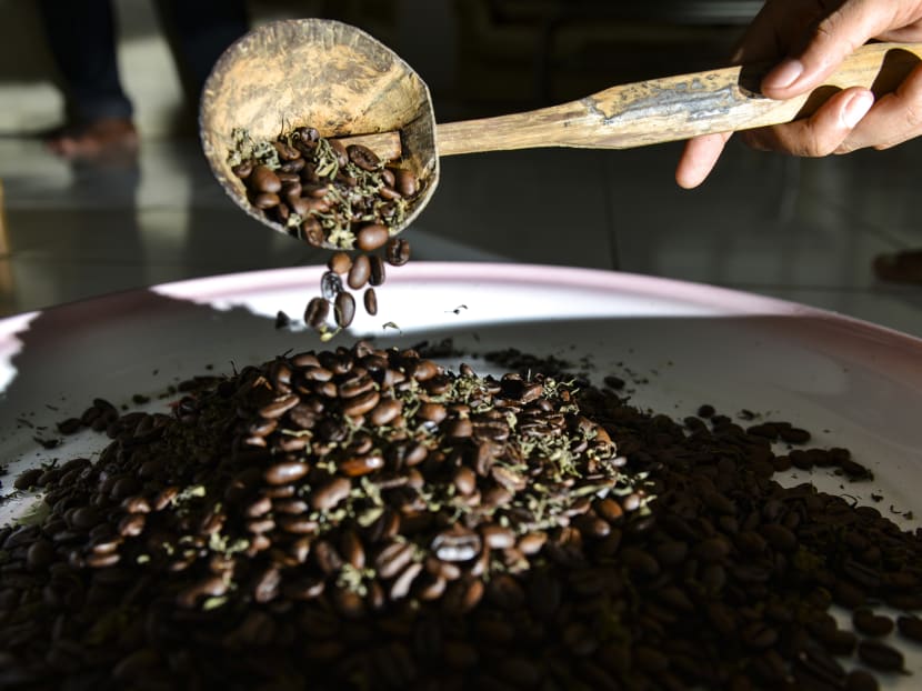 This photo taken on December 10, 2019 shows coffee beans with marijuana in Banda Aceh, Aceh province. The contraband mixture of cannabis and coffee is a hit with locals and buyers in other parts of the Southeast Asian archipelago, who pay 1.0 million rupiah (S$100) for a kilo of it.