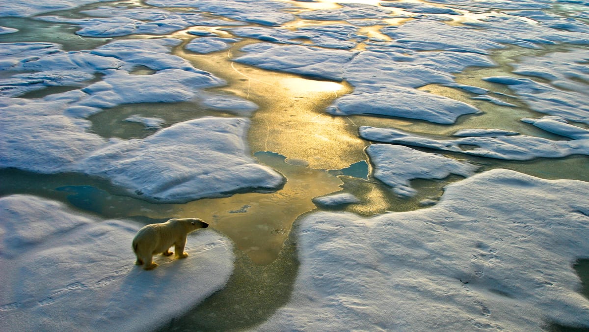 COP26: 7 tahun terakhir merupakan suhu terpanas yang pernah tercatat, kata para ilmuwan