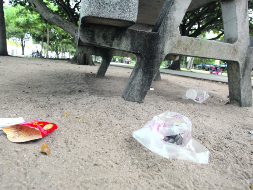 Litter at East Coast Park. TODAY file photo Litter at East Coast Park. TODAY file photo