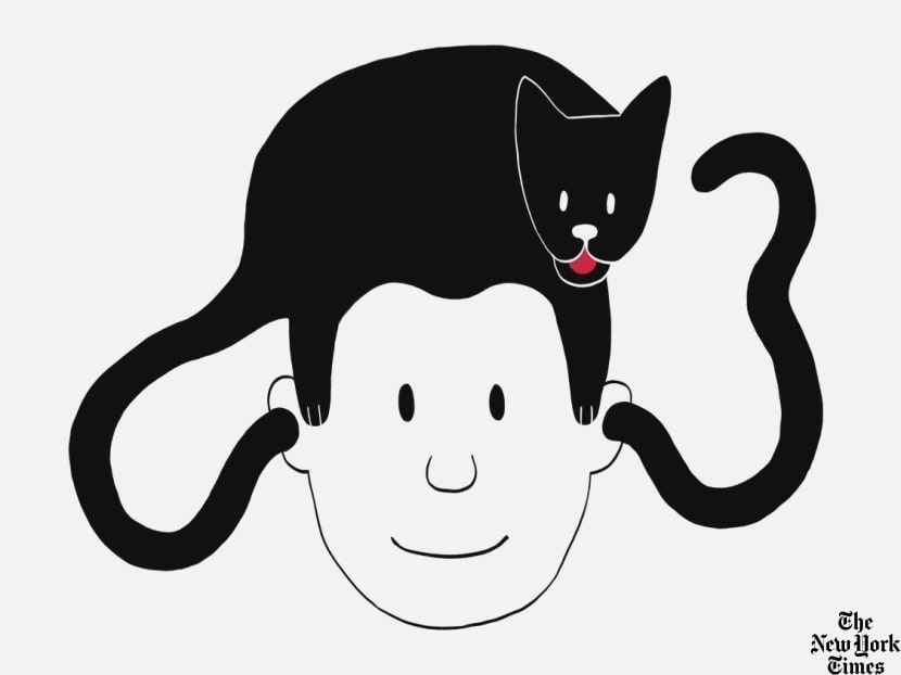 Pet sound translator apps are here to decipher meows and barks Pet sound translator apps are here to decipher meows and barks