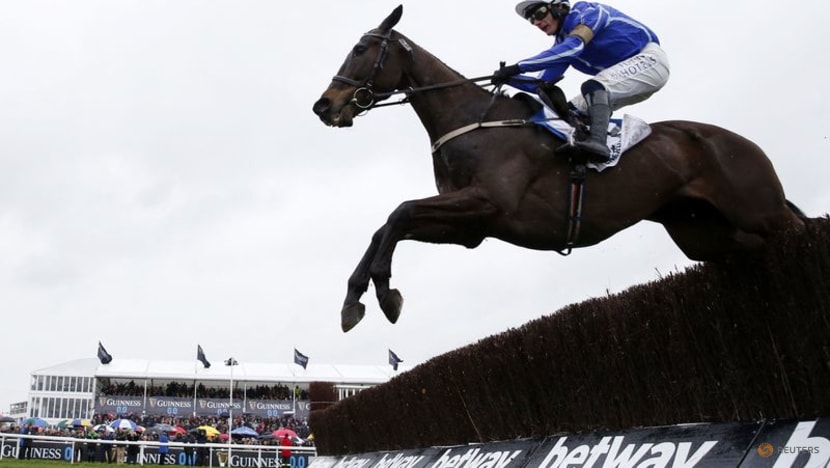 Energumene retains Champion Chase at Cheltenham for Brighton owner Bloom Energumene retains Champion Chase at Cheltenham for Brighton owner Bloom