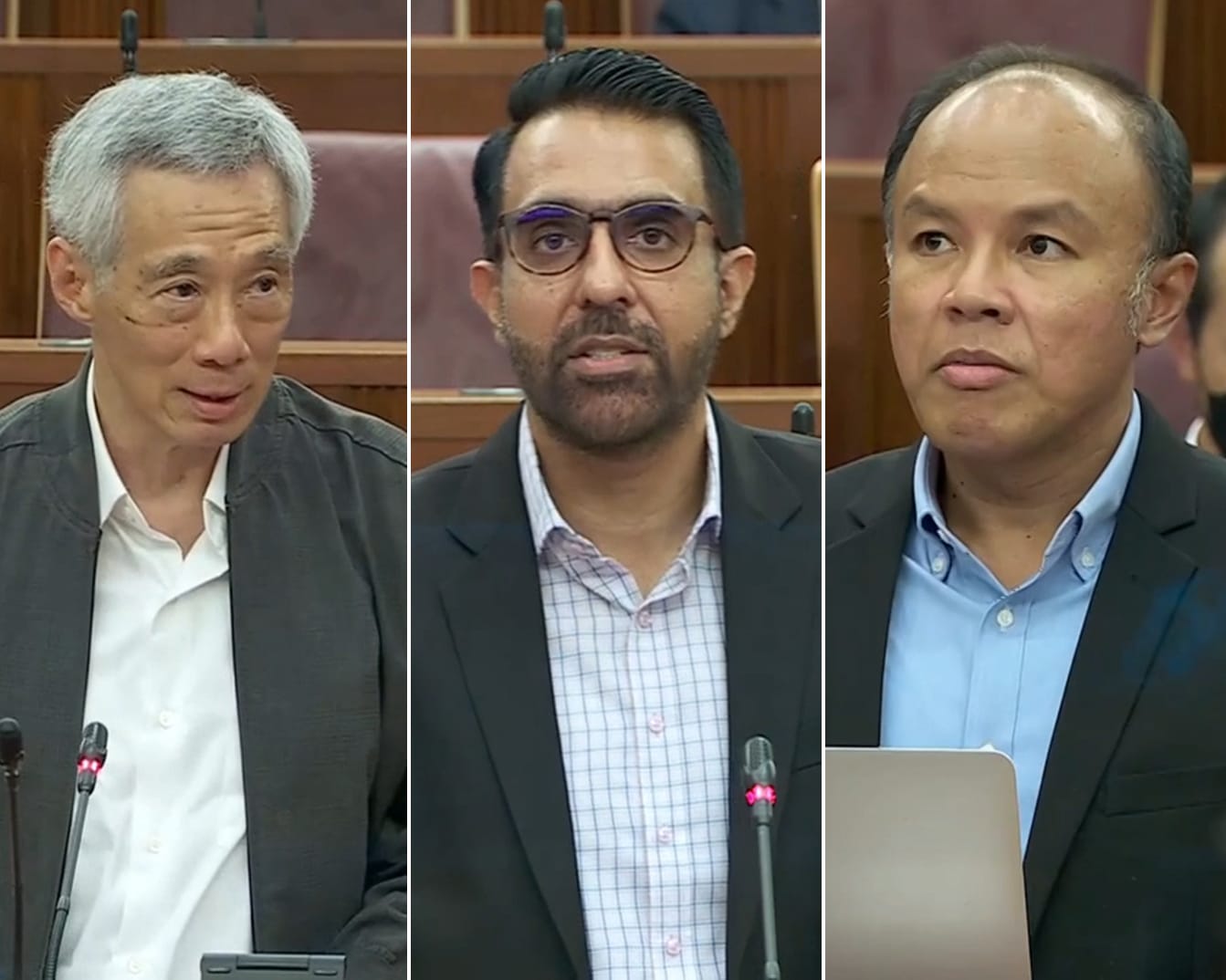 The author believes that the WP’s response in Parliament on Feb 15 was an unequivocal demonstration that it has chosen to bury its head in the sand. The author believes that the WP’s response in Parliament on Feb 15 was an unequivocal demonstration that it has chosen to bury its head in the sand.