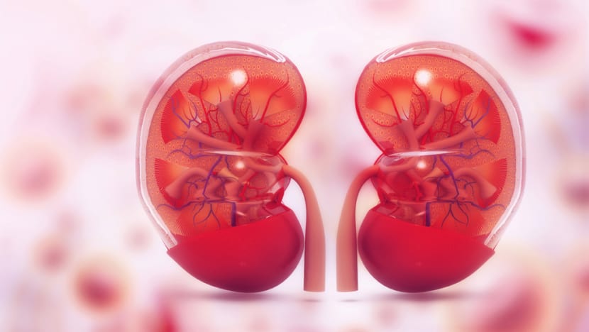 The TCM approach to better kidney health The TCM approach to better kidney health