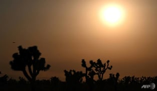 UN confirms 2021 among seven hottest years on record