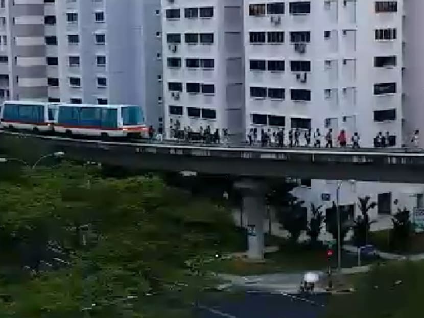 People walking along the Bukit Panjang LRT tracks between Petir and Pending stations this evening (March 9). Photo: Facebook/ Ab Tan