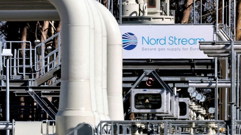Russia cuts gas flows further as Europe makes savings plea Russia cuts gas flows further as Europe makes savings plea