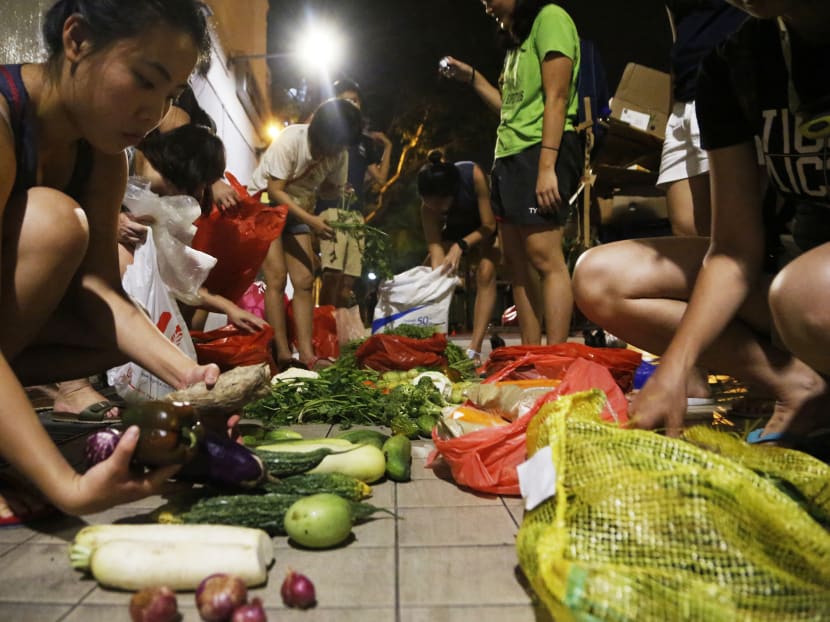 Sunday Spotlight: Dumpster divers to the rescue of ‘ugly’ but edible food Sunday Spotlight: Dumpster divers to the rescue of ‘ugly’ but edible food