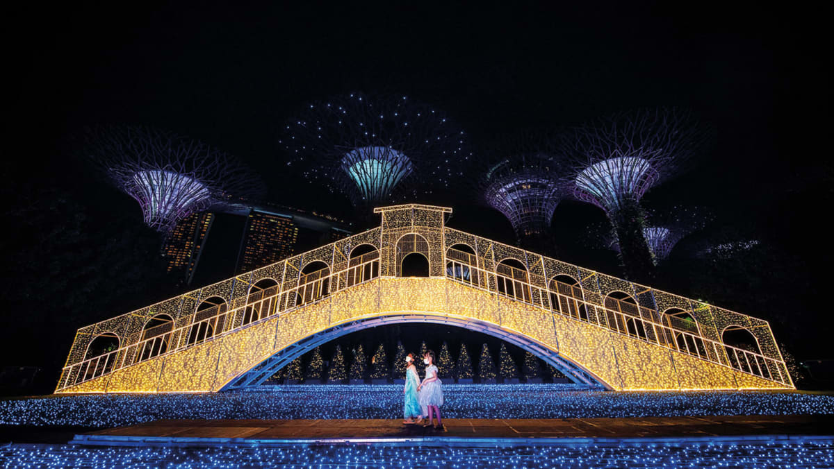 Find your sparkle with Christmas Wonderland at Gardens by the ...