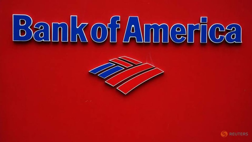 Bank of America names Fernando Vicario as new EU bank boss Bank of America names Fernando Vicario as new EU bank boss
