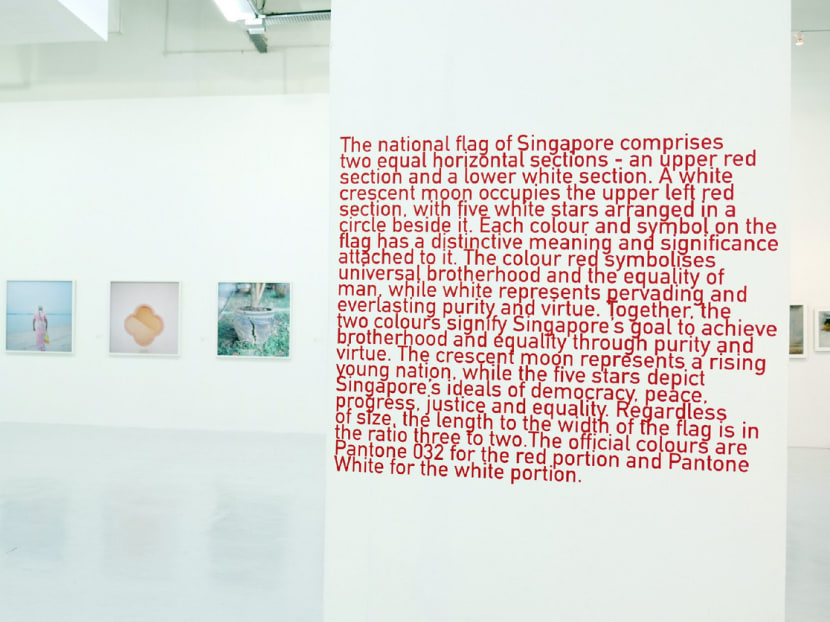 Gallery: Art review: TwentyFifteen.sg | Singapore Survey 2015