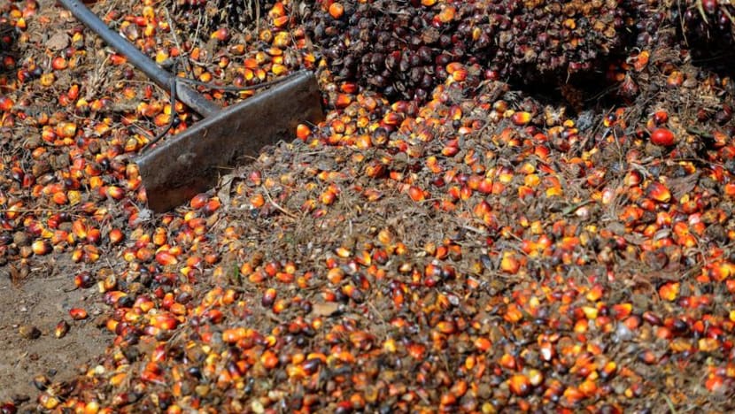 Indonesia sees B40 biodiesel mix absorbing extra 2.5 million tonnes of palm oil Indonesia sees B40 biodiesel mix absorbing extra 2.5 million tonnes of palm oil