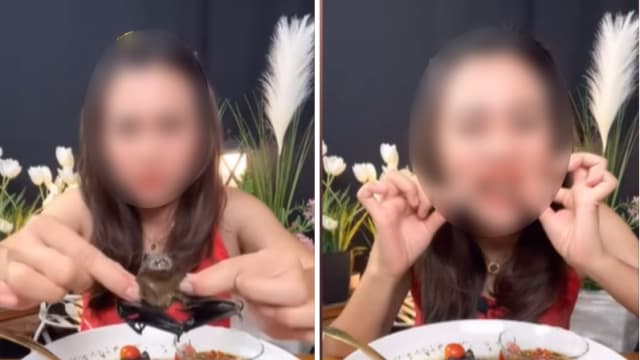 吃播中吃蝙蝠 泰国女子遭警方逮捕
