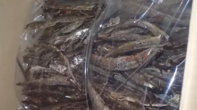 日本进口秋刀鱼干含一级致癌物 台食药署：超标近40倍